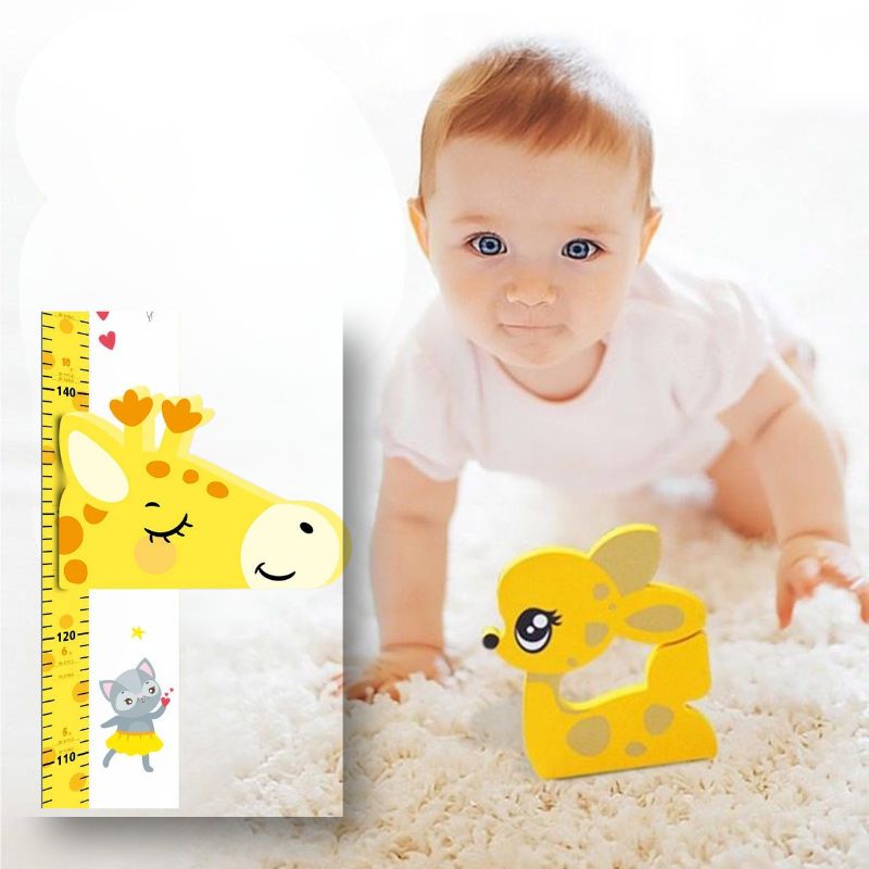 Toise-girafe-evolutive